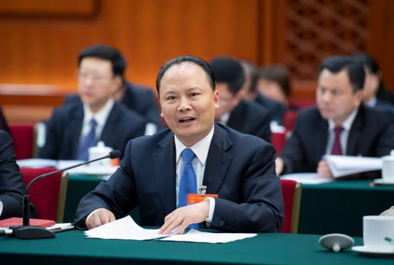 刘汉元代表：优化储能发展模式 保障可再生能源有效消纳
