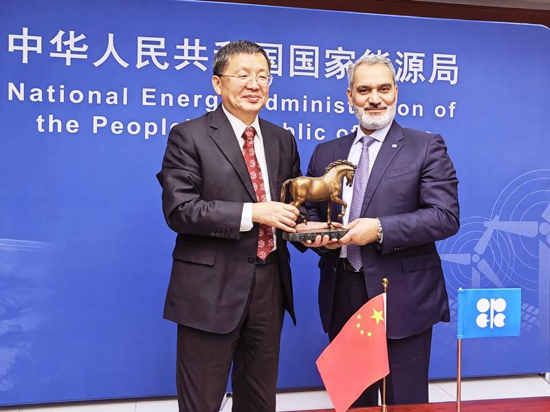 第六届中国-欧佩克高级别对话会举行