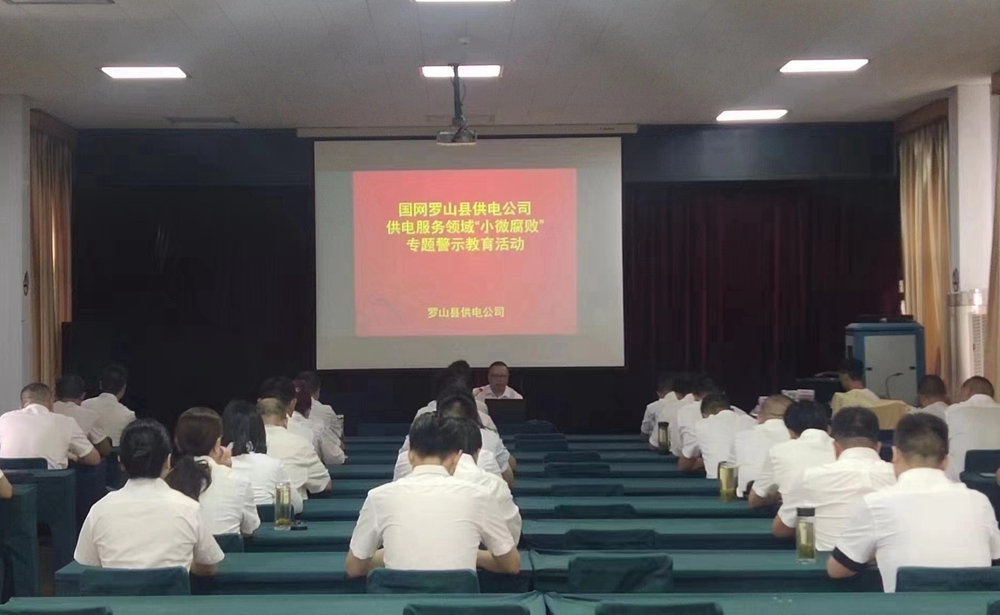 国网罗山县供电公司：开展警示教育 预防“小微腐败”