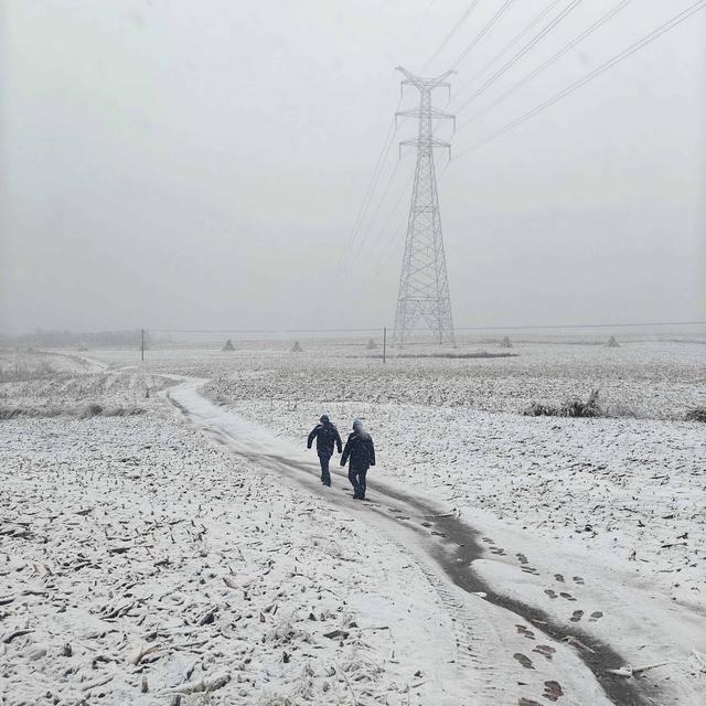 国网辽宁电力全力应对辽宁首轮雨雪天气