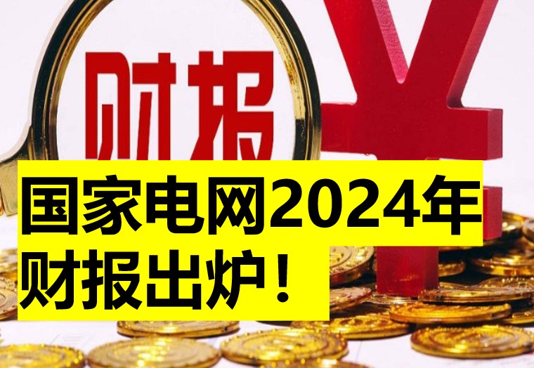 国家电网2024年财报出炉！综合收益同比下降