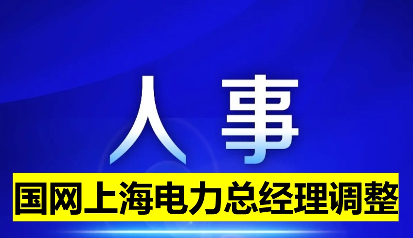 国网上海电力总经理调整