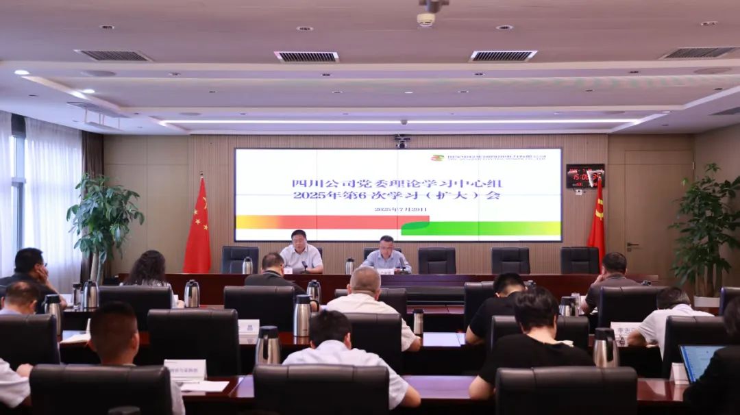 国家电投四川公司党委理论学习中心组开展人工智能、数字化转型专题学习研讨